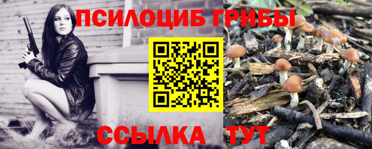 Калининград  Галлюциногенные грибы Magic Shrooms  Вход с VPN 